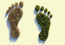 Módszerek, amelyekkel Te is könnyedén csökkentheted az ökológiai lábnyomod