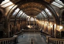 Virtuális idegenvezetés a Google Művészet és Kultúra felületén