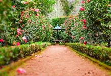 A kert különlegességei