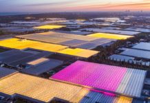 Színes led fényekkel a növényekért