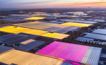 Színes led fényekkel a növényekért